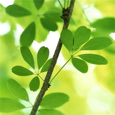 崔永元：范冰冰已向我道歉，阴阳合同还有大人物