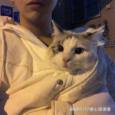 信贷精准直达 银行搭建全球南方资金融通桥梁